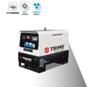 Дизельгенератор  Trime MGTP 6 D AE Y